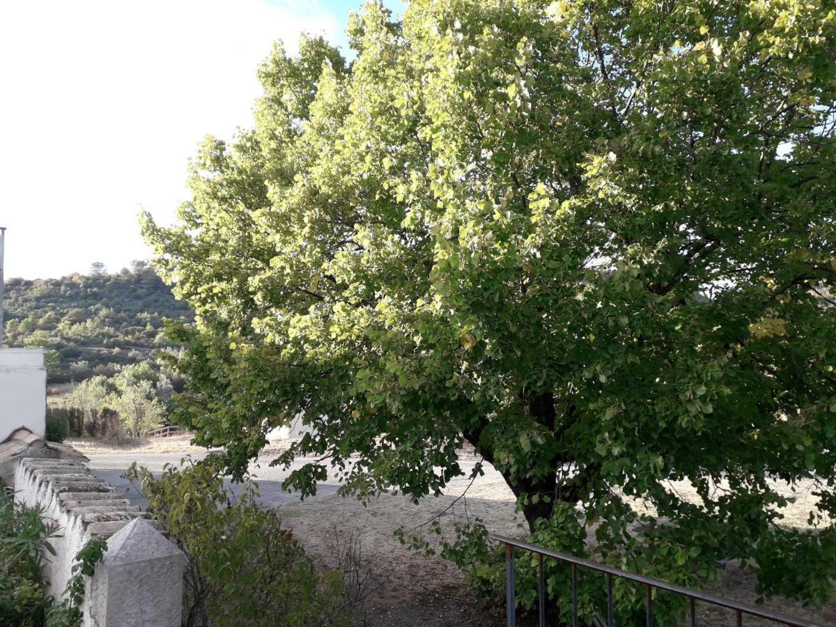 Le Patio Aux Hirondelles Villa Lagorce  Exterior foto